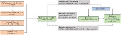 Exploring causal relationships between inflammatory cytokines and allergic rhinitis, chronic rhinosinusitis, and nasal polyps: a Mendelian randomization study
